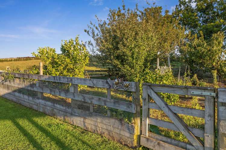 235 Hiwi Road Tauwhare_27