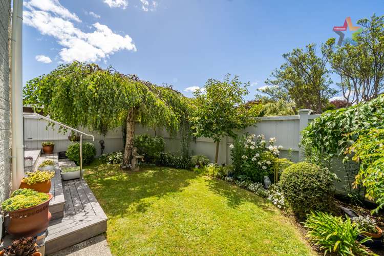 48a Queens Grove Lower Hutt_18