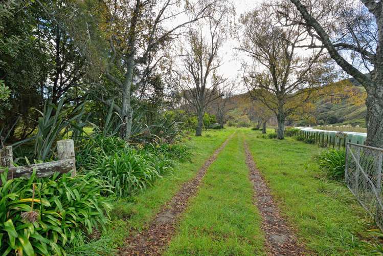 1080 Tauwhareparae Road Tolaga Bay_19