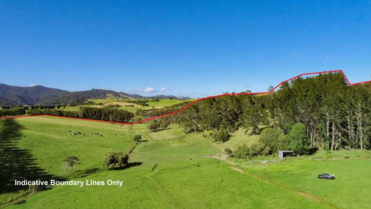 133 Okahu Road Kaitaia_34