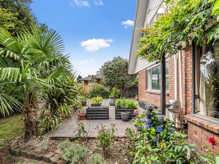 46 Carter Drive Pomare_10