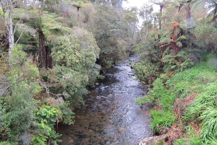 494 Waitekauri Road Waikino_14