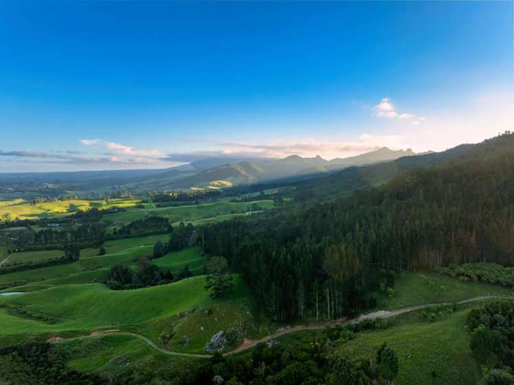 348D Rea Road Katikati_8