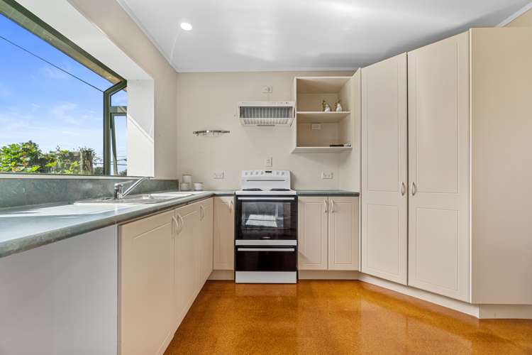 690 Frontier Road Pirongia_5