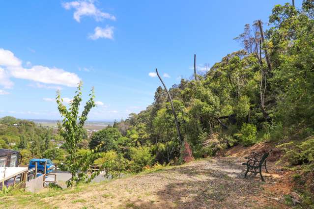 113 Collarbone Road Thames_4