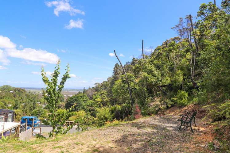 113 Collarbone Road Thames_4