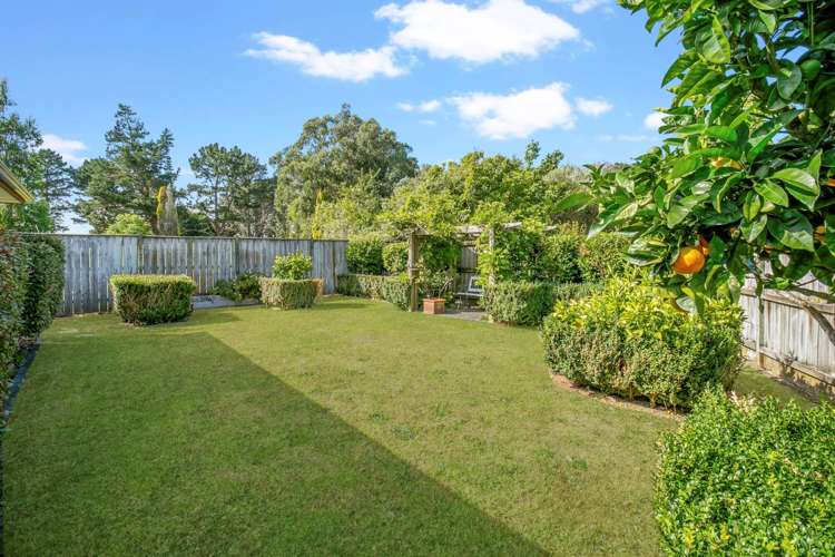 154 Wattle Farm Road Wattle Downs_8