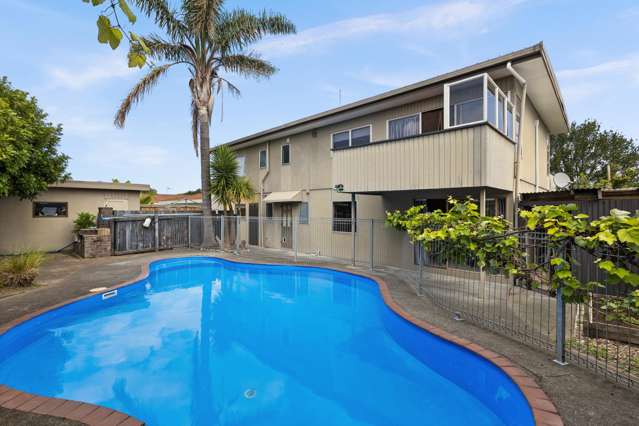 102 Freyberg Avenue Tamatea_2