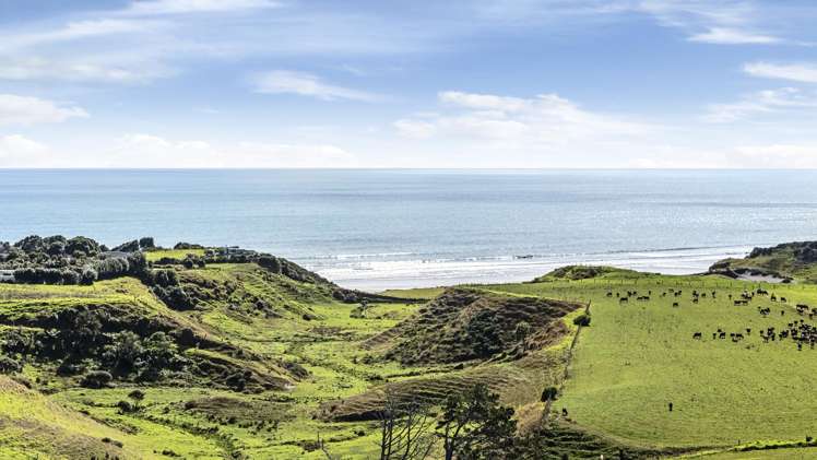 Lot 5 Waitoetoe Road Urenui_13