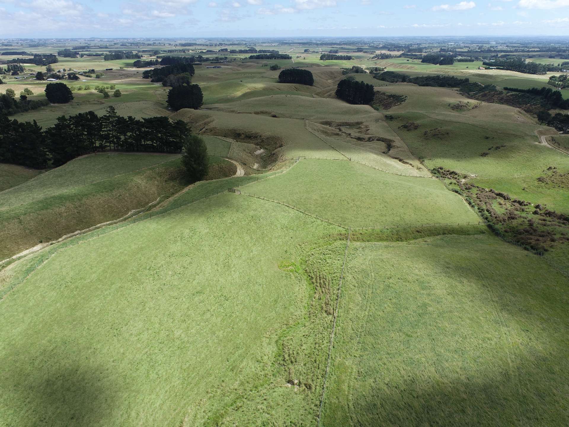 429 Scotts Road Linton_0