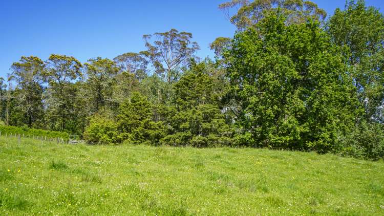 46 Moorfield Road Te Kauwhata_5