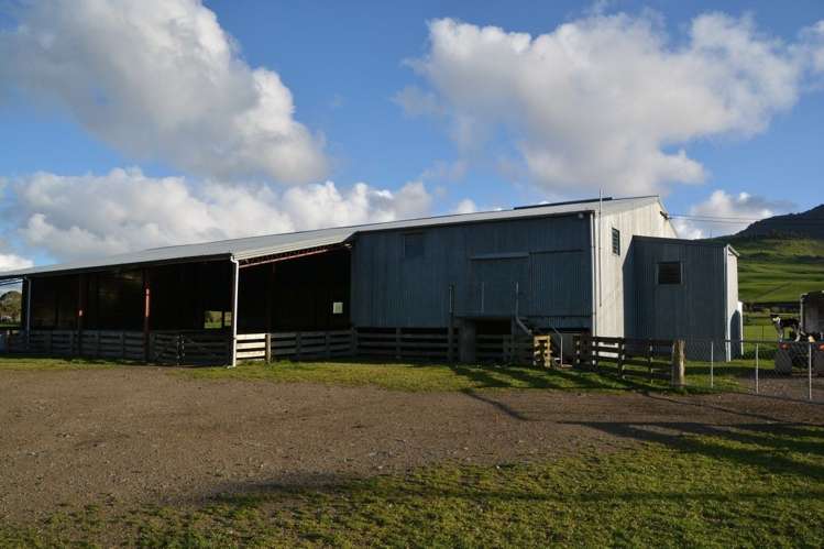 1551 Owaka Valley Road Catlins Surrounds_6