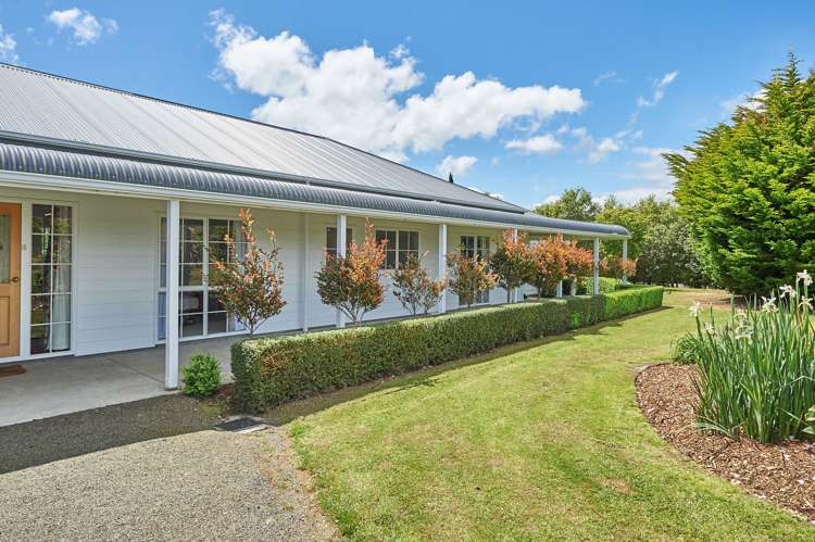55 Polson Hill Drive Aokautere_6