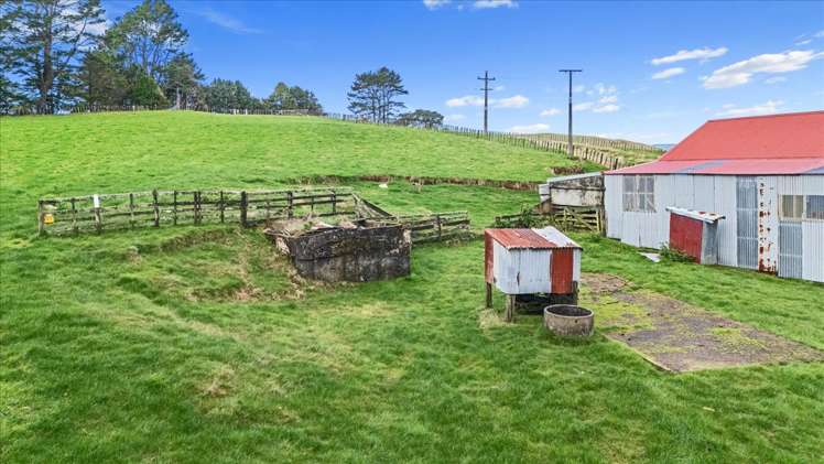1535 Taumatamaire Road Awakino_25