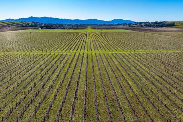 487 Hawkesbury Road Hawkesbury_2