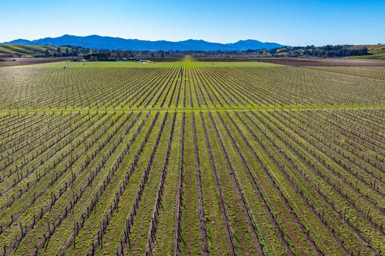 487 Hawkesbury Road Hawkesbury_2