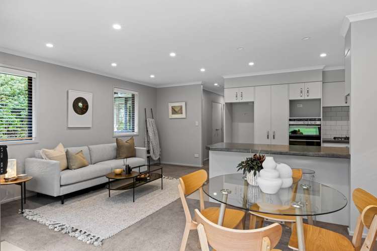 208b Glenmore Road Coatesville_7