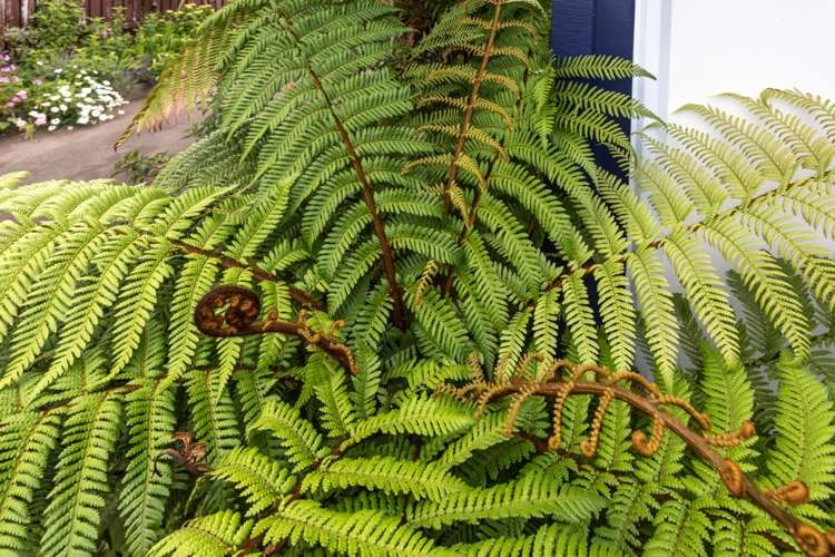 307 Hetherington Road Whangamata_23