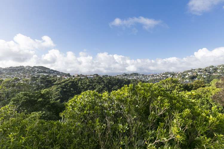 3/25 Winston Street Crofton Downs_4