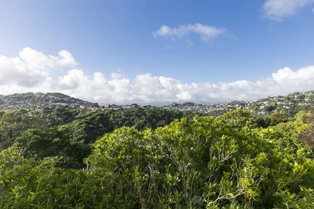 3/25 Winston Street Crofton Downs_4