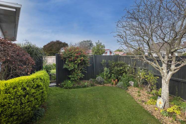 4 Cowper Place Avondale_13