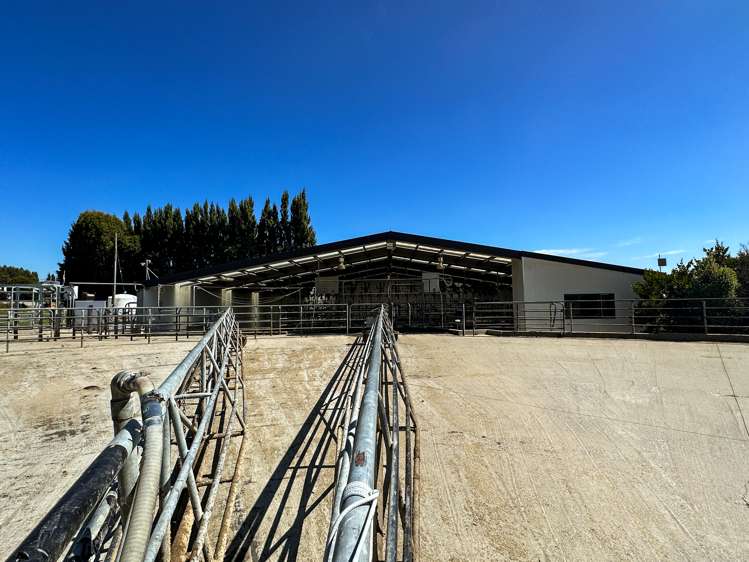 50 Mill Road Gore Surrounds_12