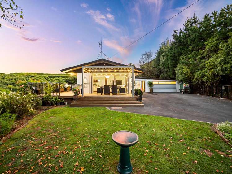 313 Youngson Road Whakamarama_22
