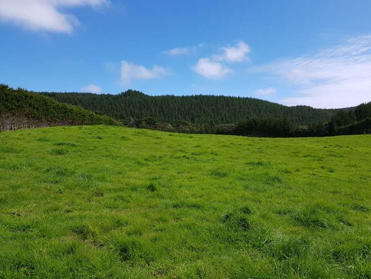 4969 Pouto Road Pouto_9