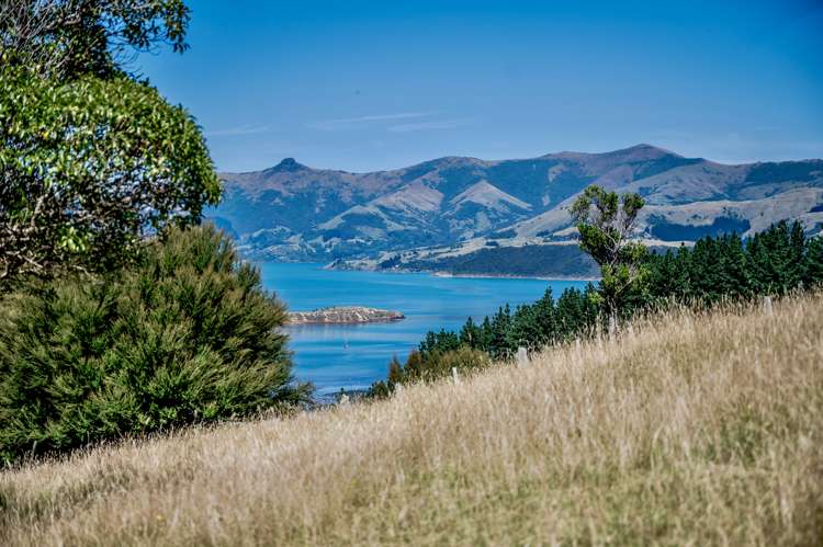 190 Okains Bay Road Robinsons Bay_6