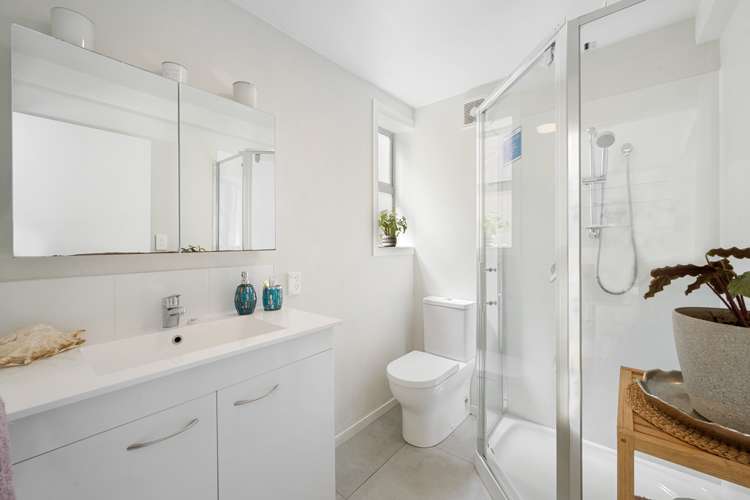 1133b Dominion Road Mount Roskill_13