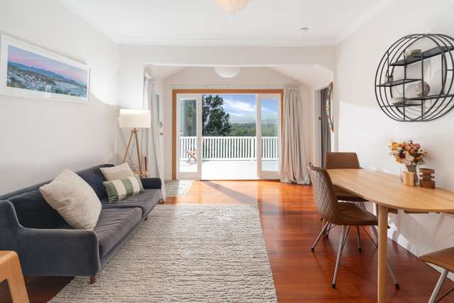 52 Rakau Road Hataitai_1