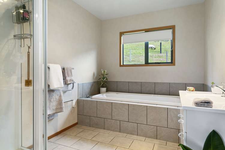 139 Palmer Mill Road Wairakei and Surrounds_26