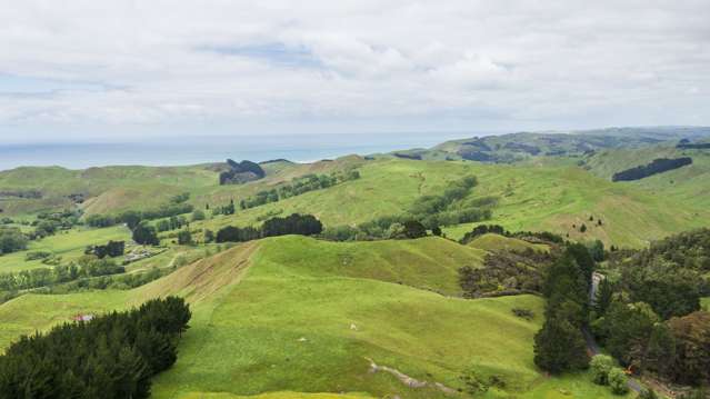 20ha,/664B Kairakau Road Elsthorpe_2