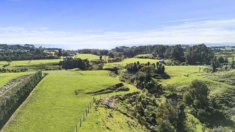 29 Wilson Road Urenui_12
