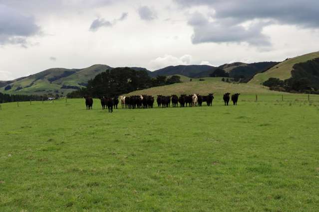 8401 Route 52 Dannevirke_3