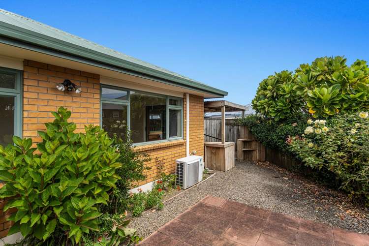 20c James Street Whakatane_13