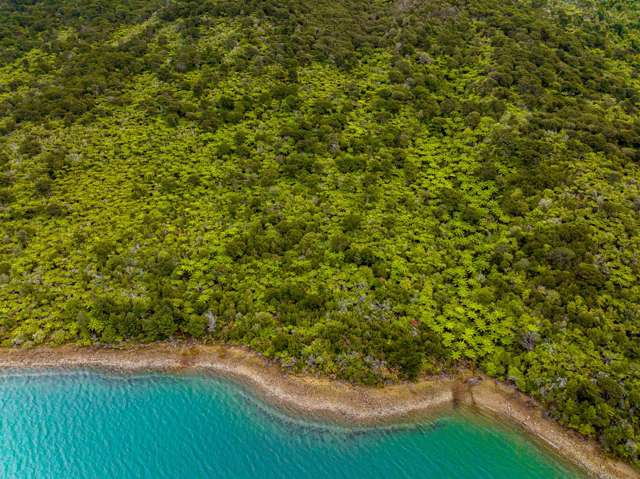 One Tree Point, Hikapu Reach, Pelorus Sound Marlborough Sounds_3