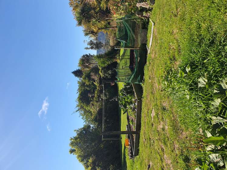 232 Woodstock-Rimu Road Ruatapu_15