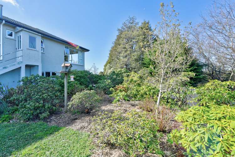 2 Wallis Lane Gore_26