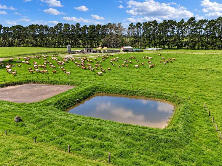 374 Rakauwahia Road Kaikohe_11