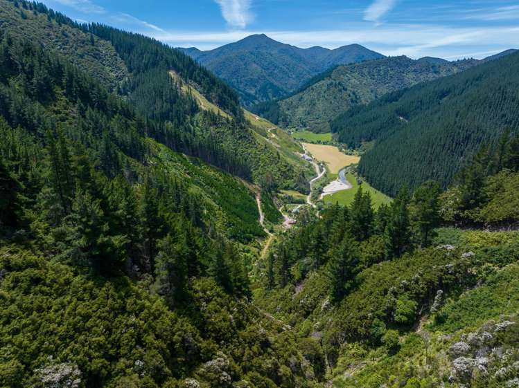 785 Waikakaho Road Tuamarina_19