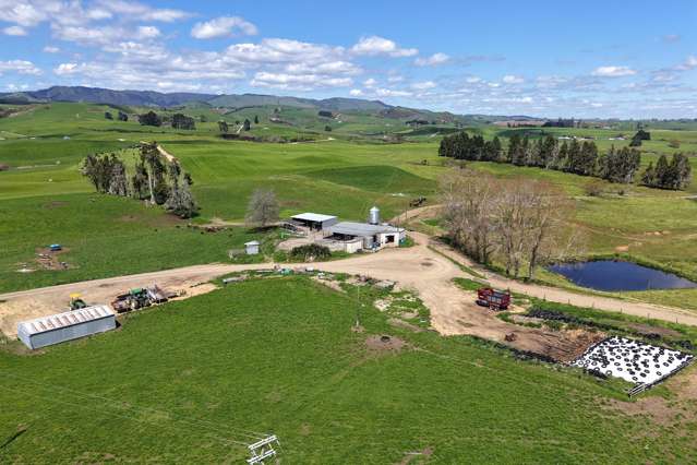 204 Mangatutu Road RD2 Maihiihi_2