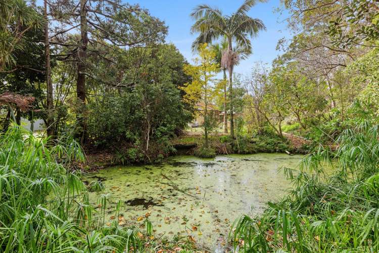 49 Matthew Road Warkworth_16