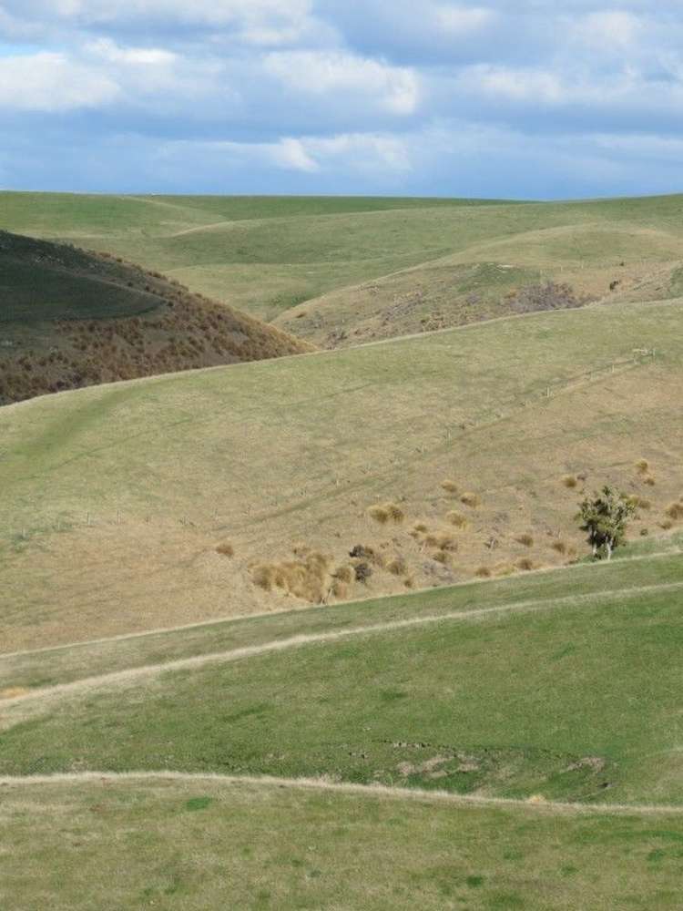 649 Kauru Hill Road Five Forks and Surrounds_30