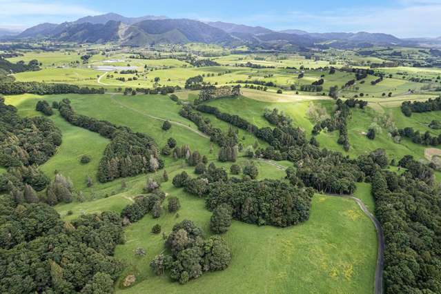 Coxhead Road Parakao_4