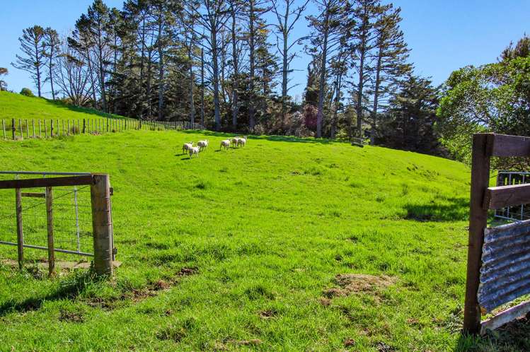 82 Settlement Road Kaiwaka_8