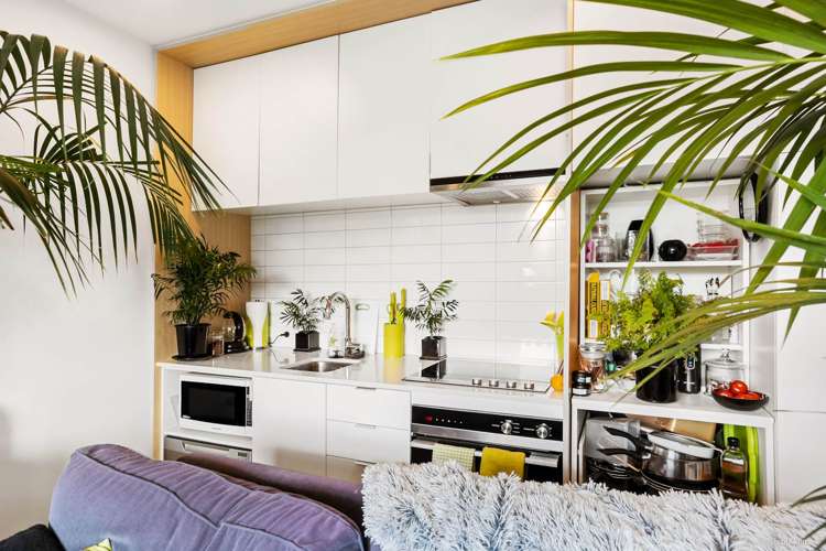 09/3g Bluegrey Avenue Stonefields_1