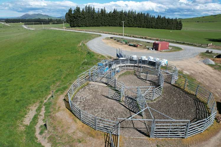 412 Gallagher Road Mossburn_17