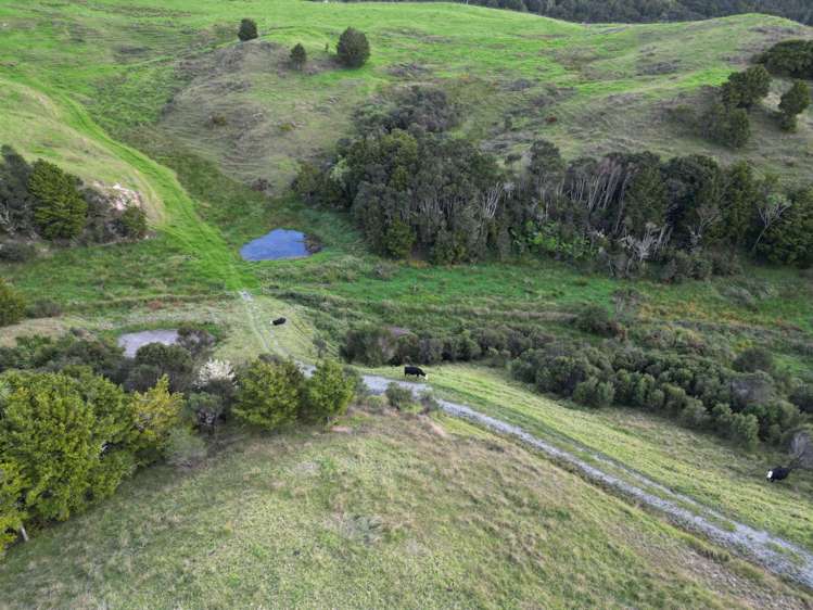 583 Lusk Road Ruawai_18