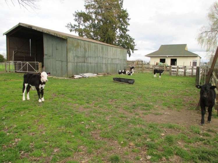 296a Pickering Road Tamahere_9